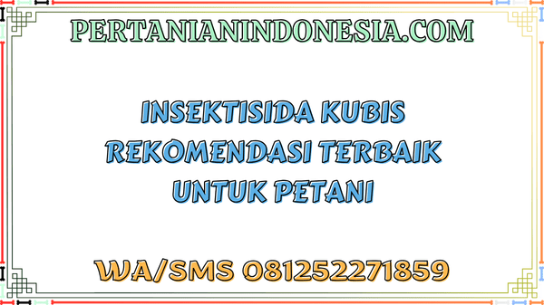 Insektisida Kubis Rekomendasi Terbaik Untuk Petani